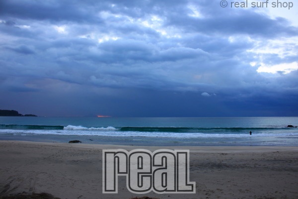 昨日よりもサイズダウン。