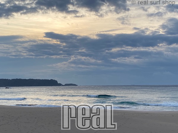 西風が吹き始めています!