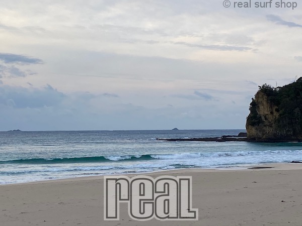 西風が吹き始めています!