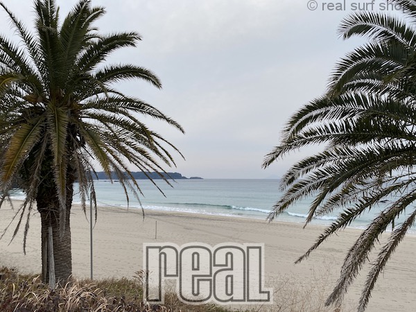 波小さいです。