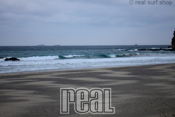 東よりの風が強めに吹き続いてます!