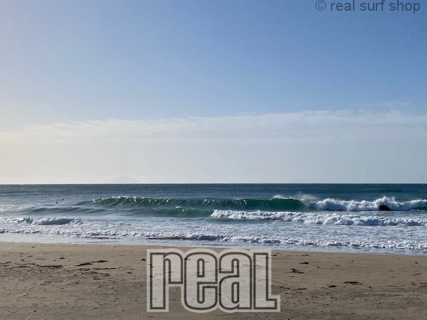 サイズアップ!頭オーバー。