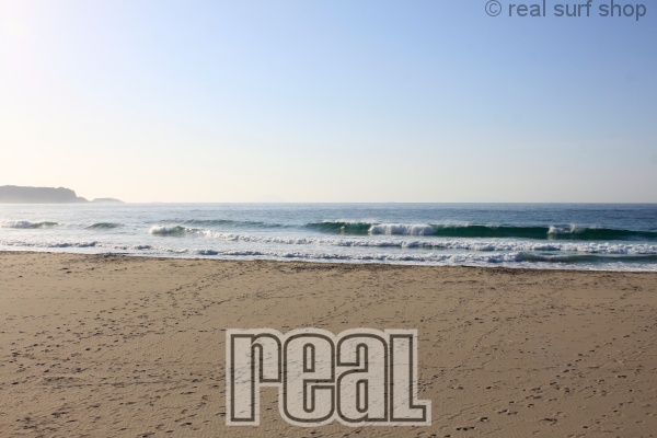 昨日よりもサイズダウン。