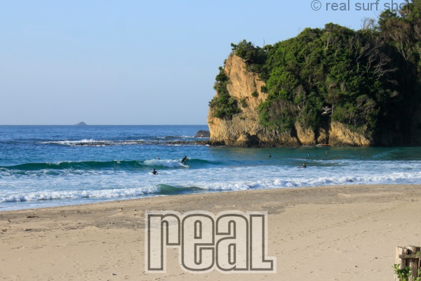 昨日よりもサイズダウン。