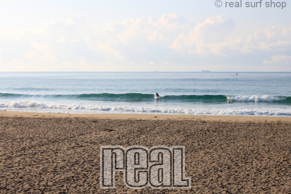 潮の上げ込みで波数は増えてます。