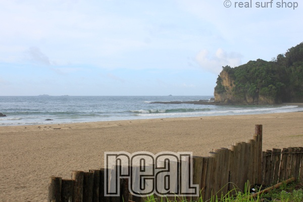 今後は ダウン傾向。