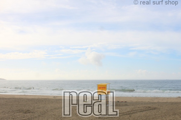 今後は ダウン傾向。