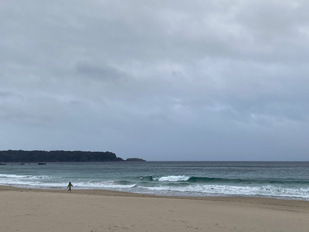 今日は一日中雨予報