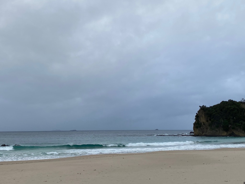 今日は一日中雨予報