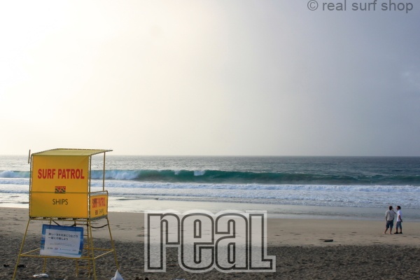 少しサイズアップしてきてます。