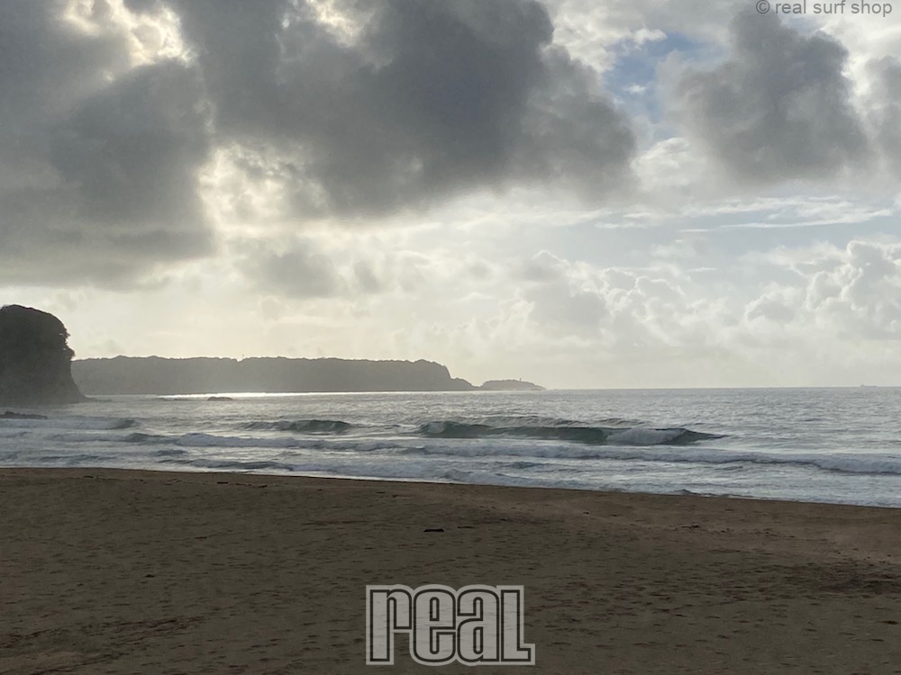 コシのうねりがあります!