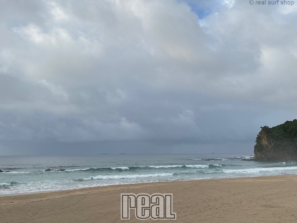 コシのうねりがあります!