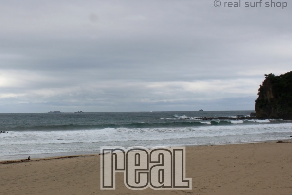 風は入ってますが、サイズアップしてます!