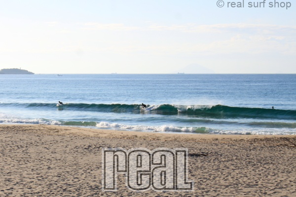 潮が多くて割れづらいです。