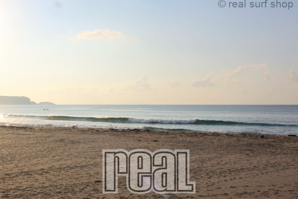 潮が多くて割れづらいです。