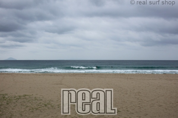 潮が多くて割れづらいです。