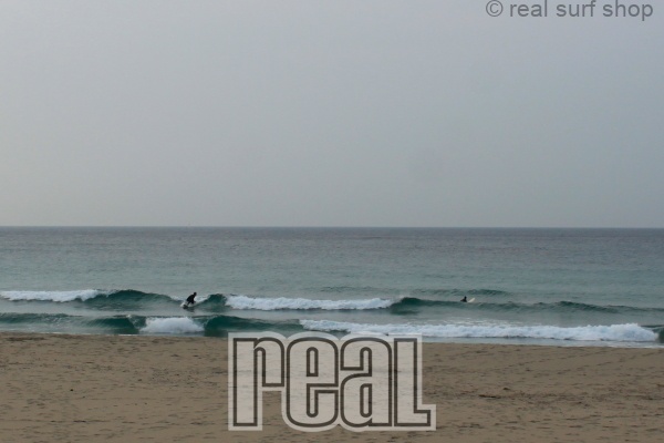 潮が多くて割れづらいです。