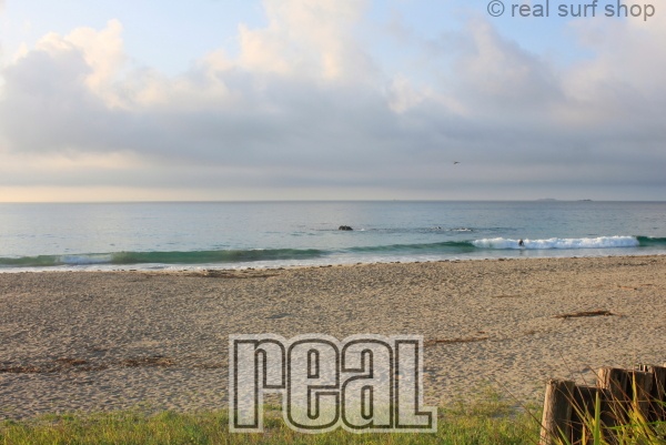 波数は増えてますが、潮が多くて割れづらいです。