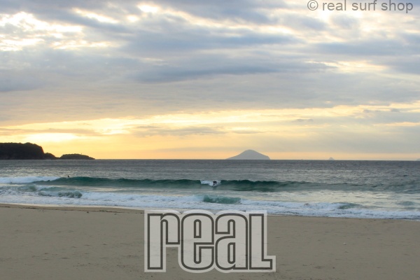 サイズアップしてきてます。