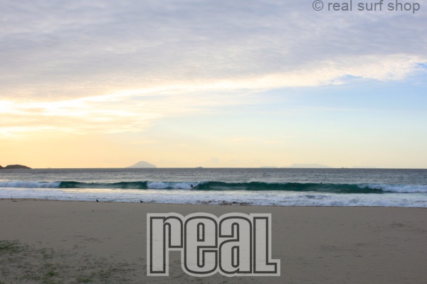 更にサイズアップしてきてます。