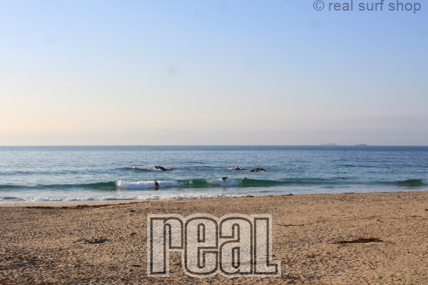 潮が多くて割れづらいです。