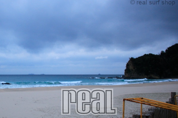 昨日よりもサイズダウン。