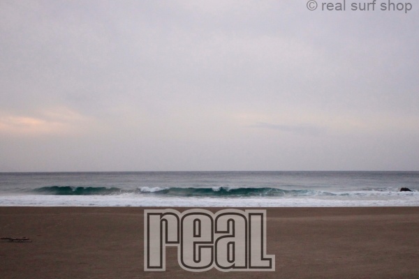 大きくサイズアップ！！