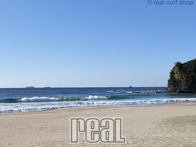 コシたまにハラ