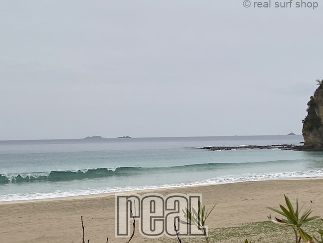 ヒザたまにモモ