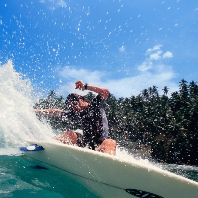 T-MEN SURF DESIGNS ツインピン Twinnister – T&C Surf Designs