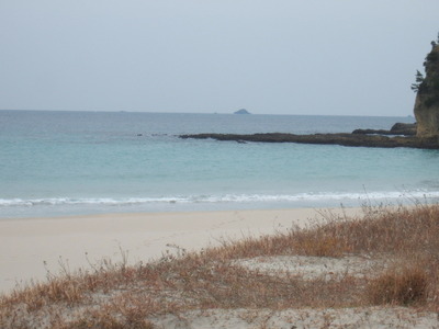 Dscf4656
