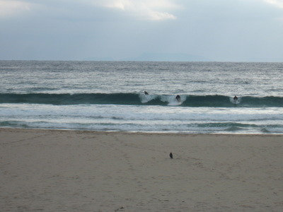Dscf4824