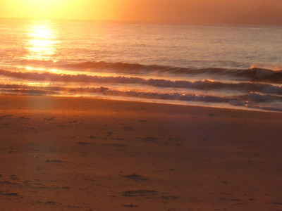 Dscf5005
