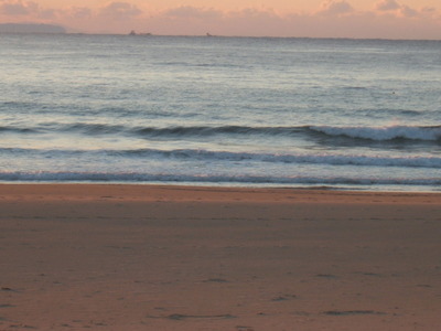 Dscf5006