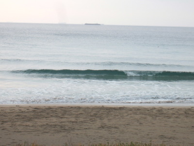 Dscf5230