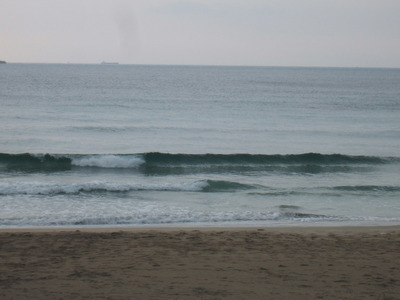 Dscf5232