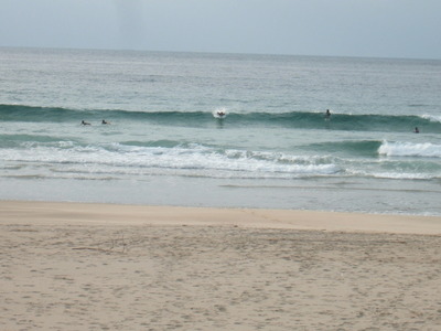 Dscf5338