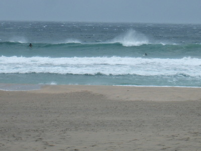 Dscf5479