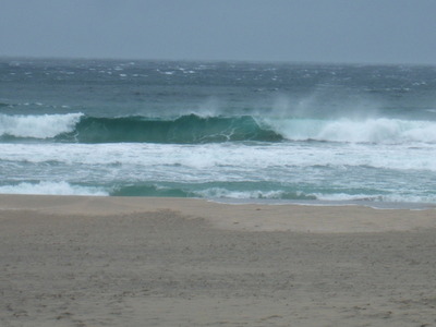 Dscf5480