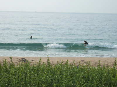 Dscf6086