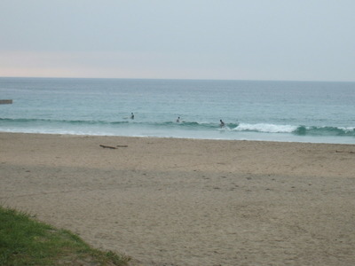 Dscf6498
