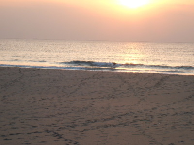 Dscf8003