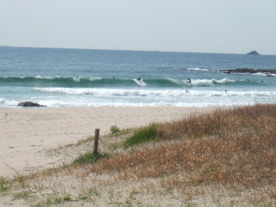 Dscf8521