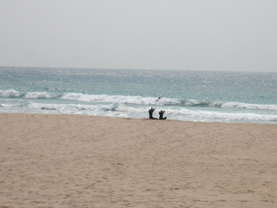Dscf8783