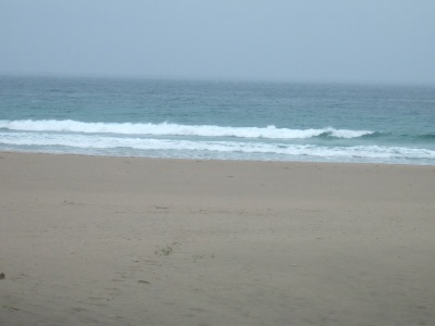 Dscf8878