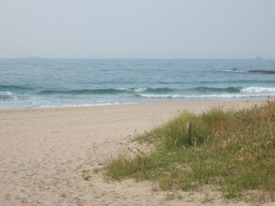 Dscf9095