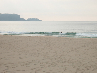 Dscf9255