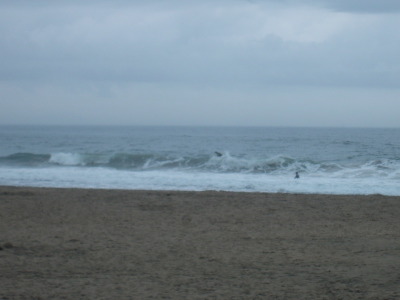 Dscf9839