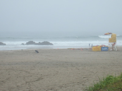 Dscf9945