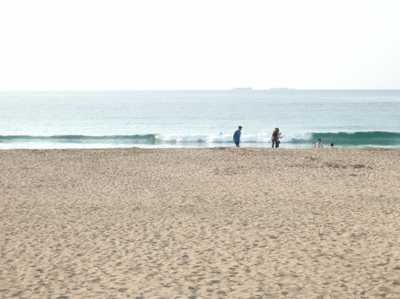 Dscf0120_2
